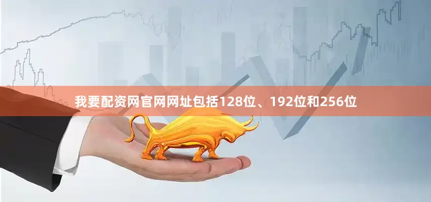 我要配资网官网网址包括128位、192位和256位