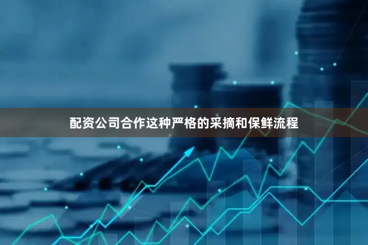 配资公司合作这种严格的采摘和保鲜流程