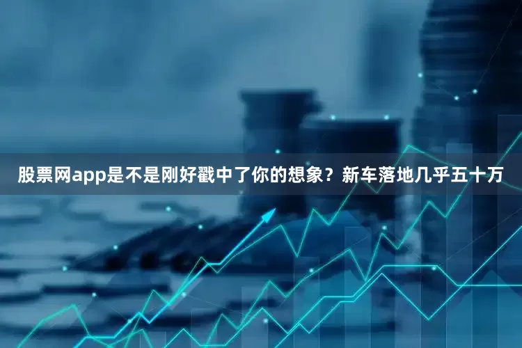 股票网app是不是刚好戳中了你的想象？新车落地几乎五十万